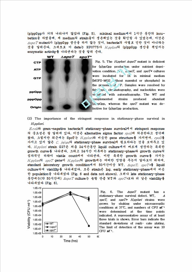 The Stringent Response of Helicobacter pylori   (7 )